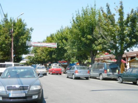 Lovită pe trecerea de pietoni, în Eforie Nord
